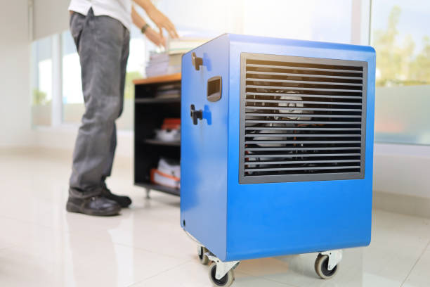 Best Dehumidification Services  in Citrus Springs, FL